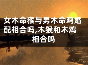 女木命猴与男木命鸡婚配相合吗,木猴和木鸡相合吗