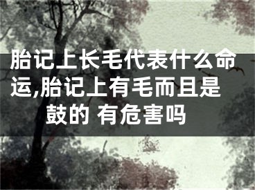 胎记上长毛代表什么命运,胎记上有毛而且是鼓的 有危害吗