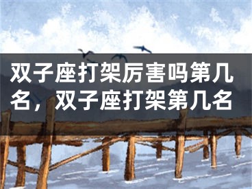 双子座打架厉害吗第几名，双子座打架第几名