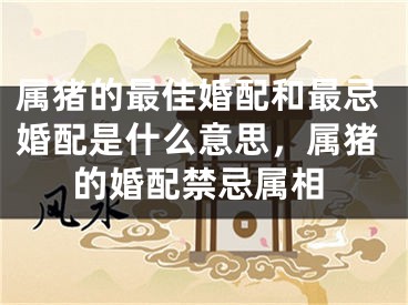 属猪的最佳婚配和最忌婚配是什么意思，属猪的婚配禁忌属相