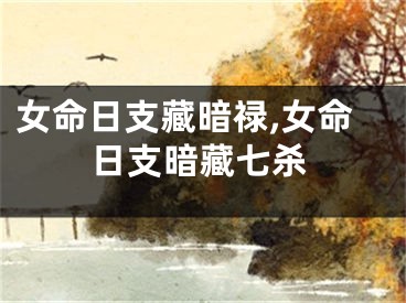 女命日支藏暗禄,女命日支暗藏七杀