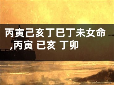 丙寅己亥丁巳丁未女命,丙寅 已亥 丁卯