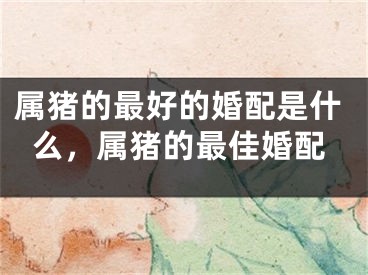 属猪的最好的婚配是什么，属猪的最佳婚配