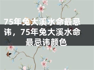 75年兔大溪水命最忌讳，75年兔大溪水命最忌讳颜色