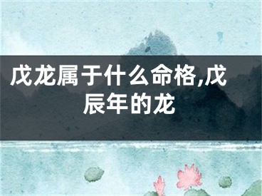戊龙属于什么命格,戊辰年的龙