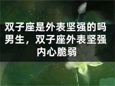 双子座是外表坚强的吗男生，双子座外表坚强内心脆弱