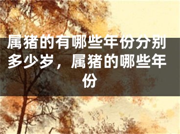 属猪的有哪些年份分别多少岁，属猪的哪些年份