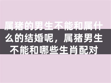 属猪的男生不能和属什么的结婚呢，属猪男生不能和哪些生肖配对