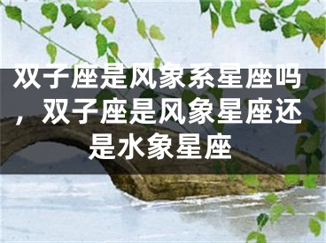 双子座是风象系星座吗，双子座是风象星座还是水象星座