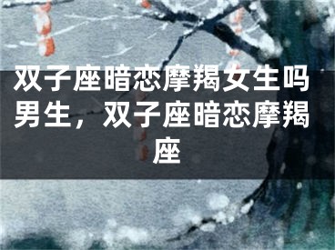 双子座暗恋摩羯女生吗男生，双子座暗恋摩羯座