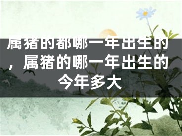 属猪的都哪一年出生的，属猪的哪一年出生的今年多大