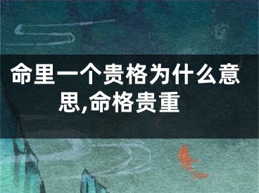 命里一个贵格为什么意思,命格贵重