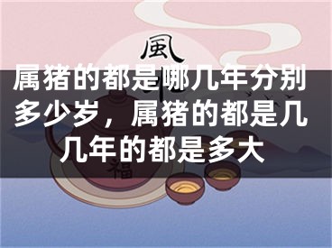 属猪的都是哪几年分别多少岁，属猪的都是几几年的都是多大