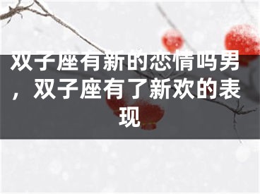 双子座有新的恋情吗男，双子座有了新欢的表现