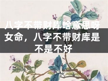 八字不带财库啥意思呀女命,八字不带财库是不是不好