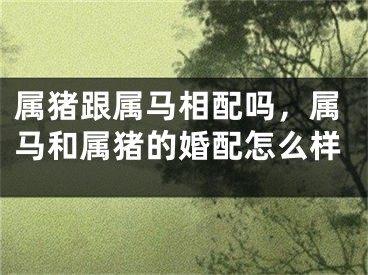 属猪跟属马相配吗,属马和属猪的婚配怎么样
