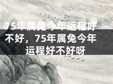 75年属兔今年运程好不好，75年属兔今年运程好不好呀