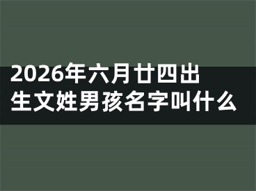 2026年六月廿四出生文姓男孩名字叫什么
