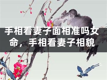 手相看妻子面相准吗女命，手相看妻子相貌