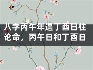 八字丙午年遇丁酉日柱论命，丙午日和丁酉日