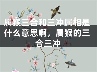 属猴三合和三冲属相是什么意思啊，属猴的三合三冲