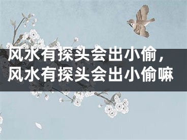 风水有探头会出小偷，风水有探头会出小偷嘛