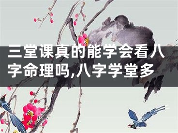 三堂课真的能学会看八字命理吗,八字学堂多