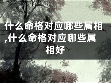 什么命格对应哪些属相,什么命格对应哪些属相好