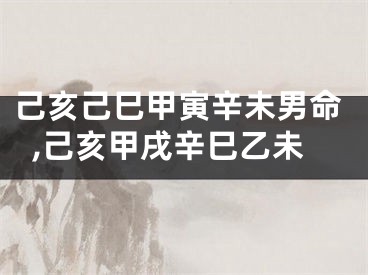 己亥己巳甲寅辛未男命,己亥甲戌辛巳乙未