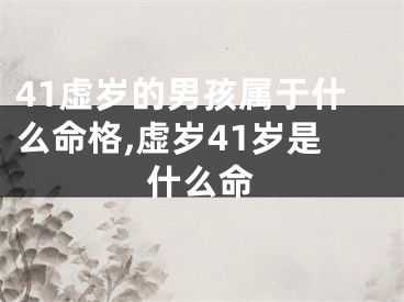 41虚岁的男孩属于什么命格,虚岁41岁是什么命