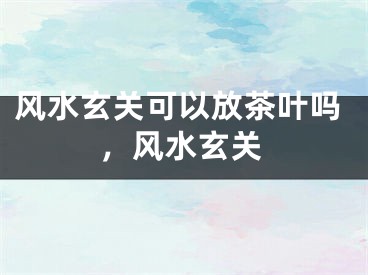 风水玄关可以放茶叶吗，风水玄关