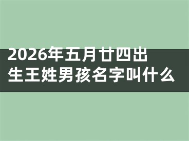 2026年五月廿四出生王姓男孩名字叫什么