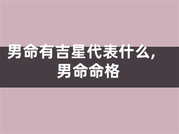 男命有吉星代表什么,男命命格