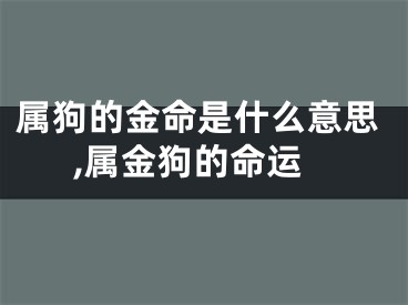 属狗的金命是什么意思,属金狗的命运