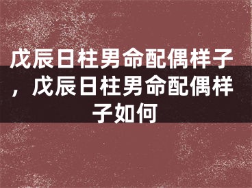 戊辰日柱男命配偶样子，戊辰日柱男命配偶样子如何