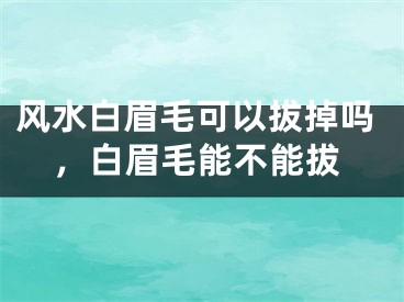 风水白眉毛可以拔掉吗，白眉毛能不能拔
