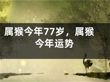 属猴今年77岁，属猴今年运势