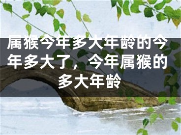 属猴今年多大年龄的今年多大了，今年属猴的多大年龄