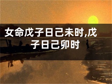 女命戊子日己未时,戊子日己卯时