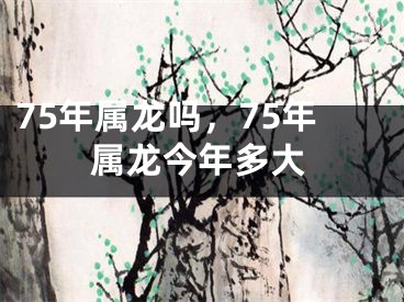75年属龙吗，75年属龙今年多大