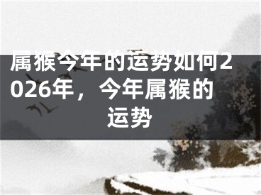 属猴今年的运势如何2026年，今年属猴的运势