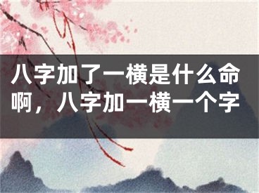 八字加了一横是什么命啊，八字加一横一个字