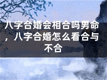 八字合婚会相合吗男命，八字合婚怎么看合与不合
