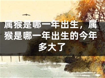 属猴是哪一年出生，属猴是哪一年出生的今年多大了
