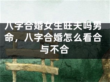 八字合婚女生旺夫吗男命，八字合婚怎么看合与不合