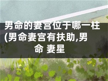 男命的妻宫位于哪一柱(男命妻宫有扶助,男命 妻星