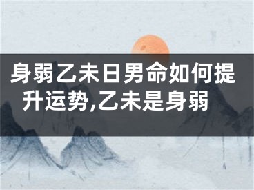 身弱乙未日男命如何提升运势,乙未是身弱