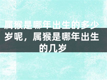 属猴是哪年出生的多少岁呢，属猴是哪年出生的几岁