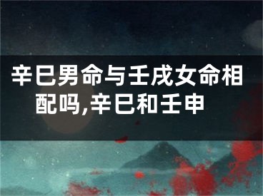 辛巳男命与壬戌女命相配吗,辛巳和壬申