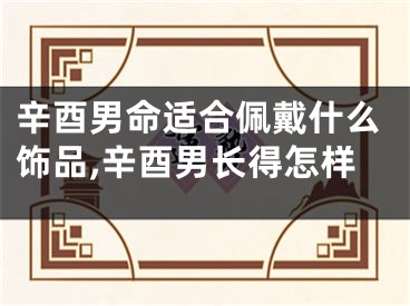 辛酉男命适合佩戴什么饰品,辛酉男长得怎样